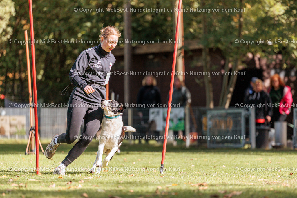 THS-HSV-Blumenthal-2026-Nickbest-Hundefotografie-4851 | Dein Hund! Dein Moment! Deine Erinnerungen! Hundefotografie in Bremen Blumenthal. Ich fange die besonderen Momente deines Vierbeiners ein – ob Indoor mit Blitzanlage oder in der freien Natur. Sicher dir dein Moment und dein Termin für eure Erinnerungen.