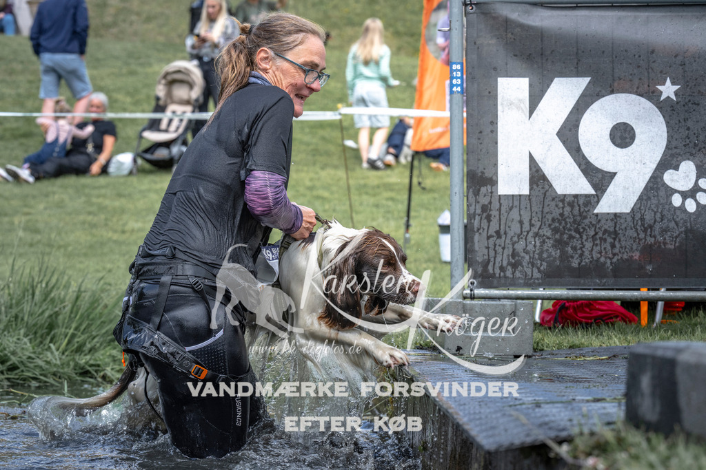 1156_ZZ94442 | kk-dogfotos