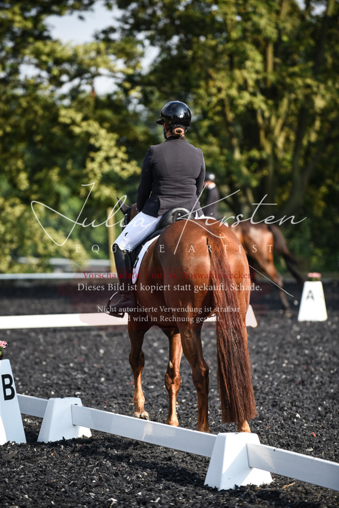 DSC_3259 | Pferde- und Turnierfotografie in Westsachsen. Pferdeportraits, Auftragszeichnungen und intuitive Kunst.