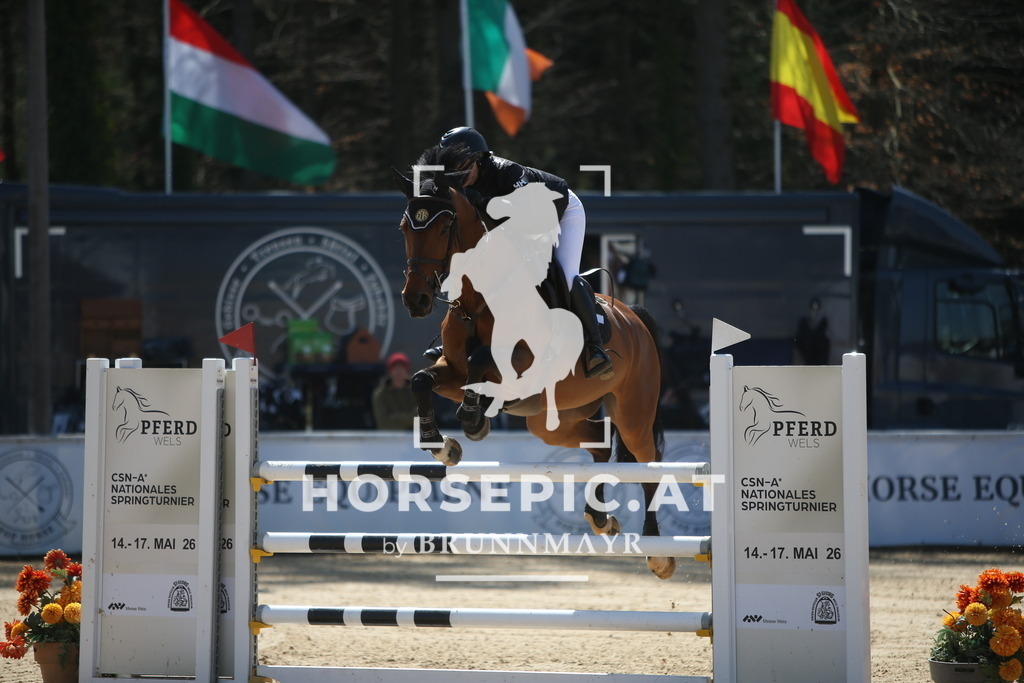 PP014653 | Willkommen bei Brunnmayr - Design & Fotografie – Ihrem Spezialisten für Reitturniere und Pferdeveranstaltungen in Oberösterreich, Salzburg und Bayern! Seit über 17 Jahren sind wir leidenschaftlich dabei.