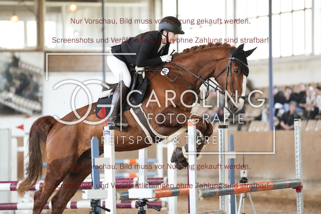 DSC00144 | Reitturnier_Göppingen_April_2026, Jule_Frech, Albertino_40
