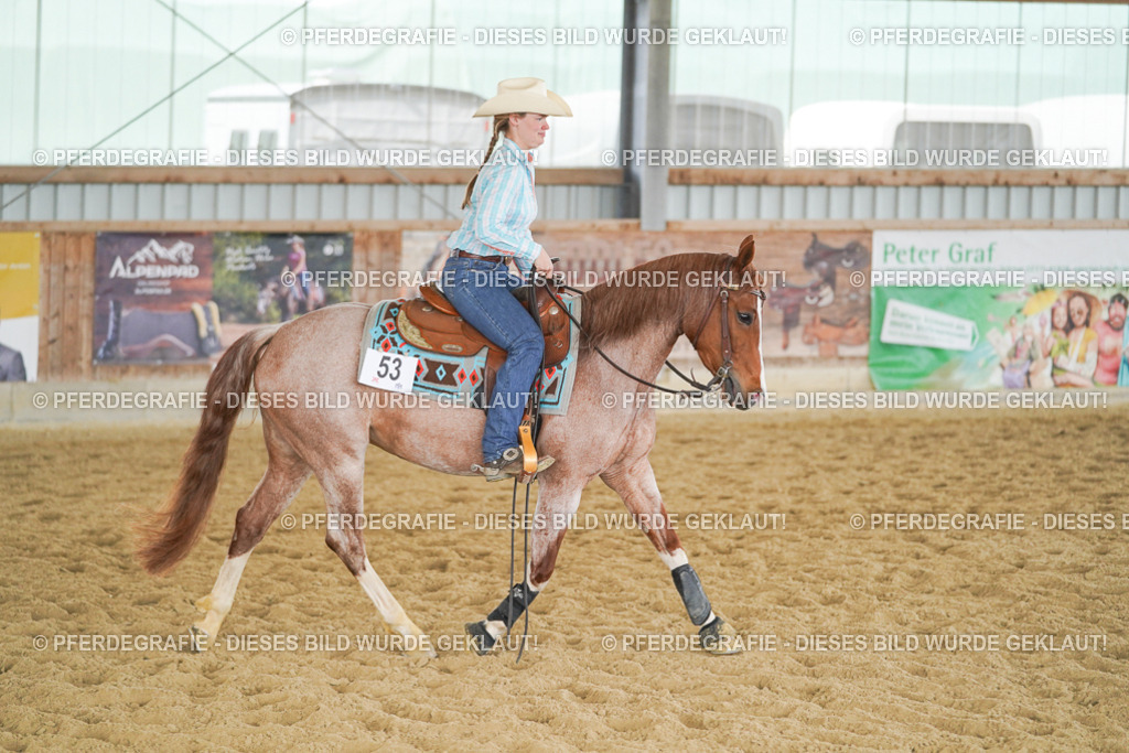 DSC05707 | Pferdegrafie