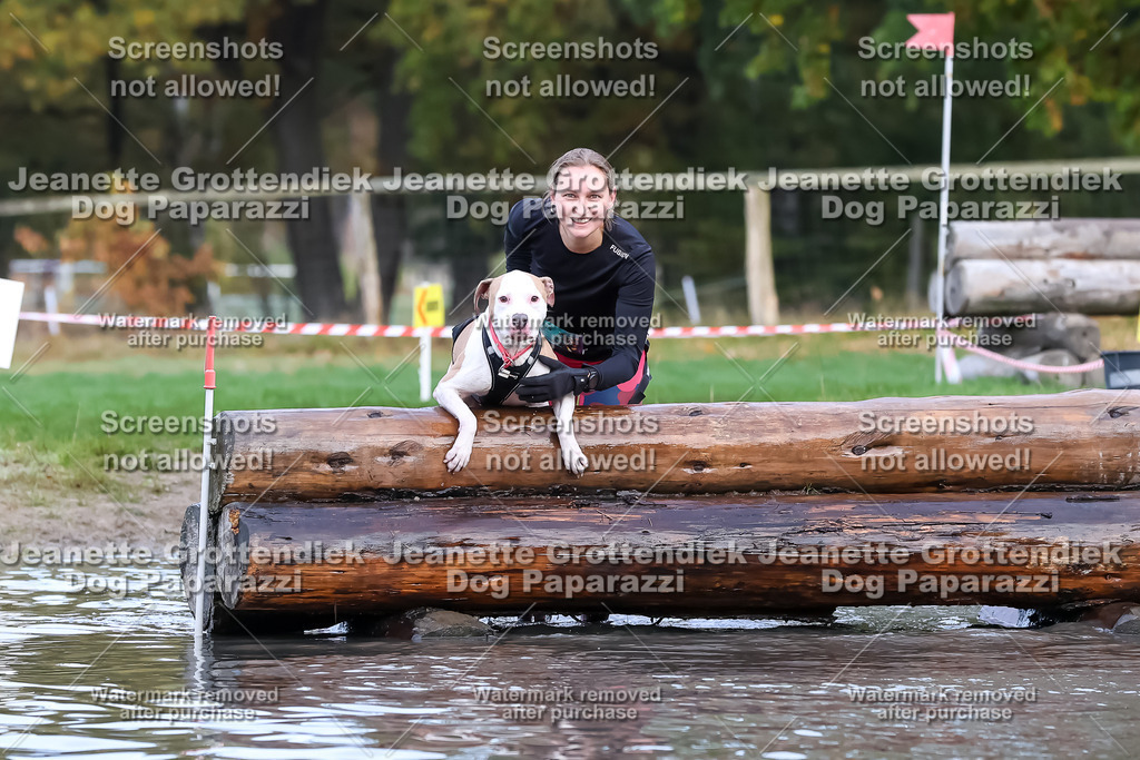 Dog Paparazzi - Strongdog 10-25-6721 | Dog Paparazzi Jeanette Grottendiek Fotografie & Videografie - Realisiert mit Pictrs.com