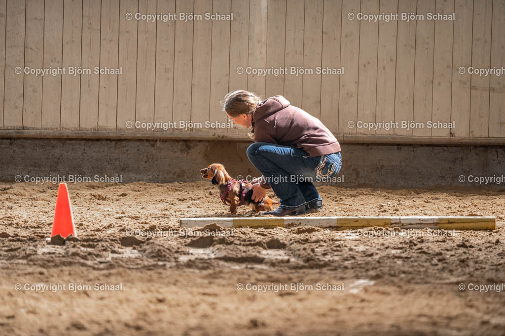 SBS04638 | BS-foto