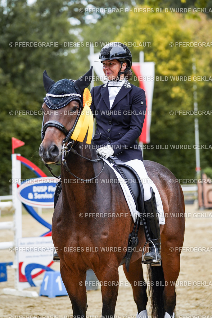 DSC02542 | Pferdegrafie