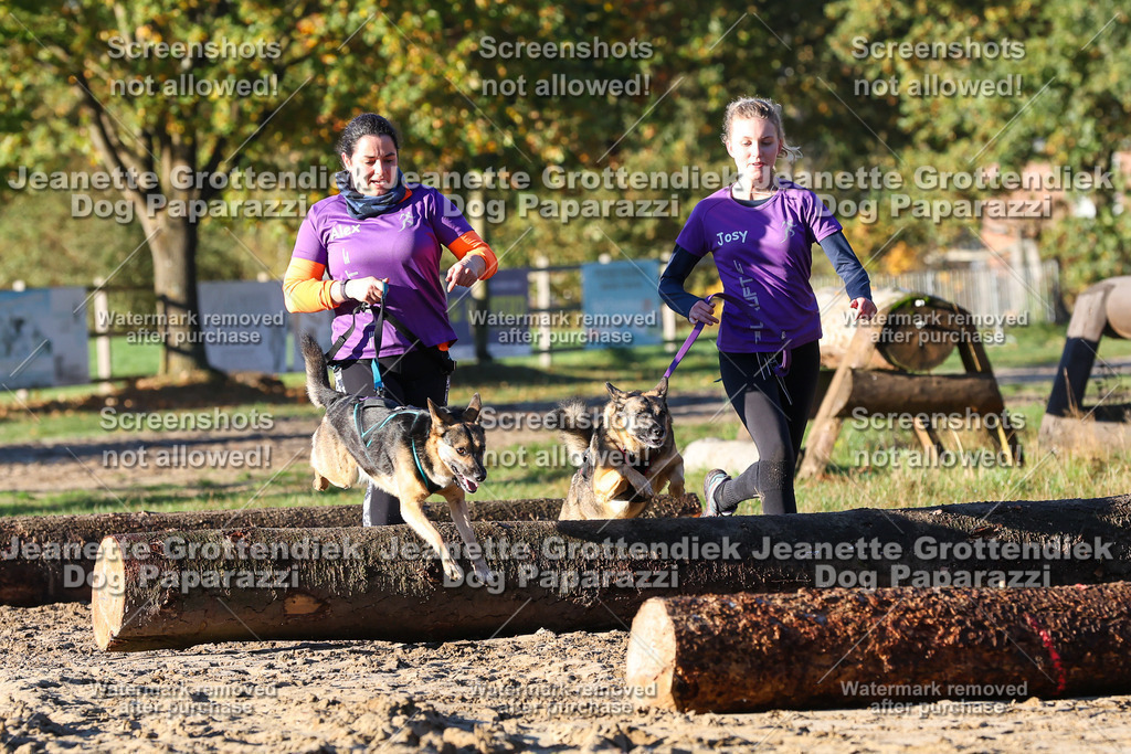 Dog Paparazzi - Strongdog 10-25-1074 | Dog Paparazzi Jeanette Grottendiek Fotografie & Videografie - Realisiert mit Pictrs.com