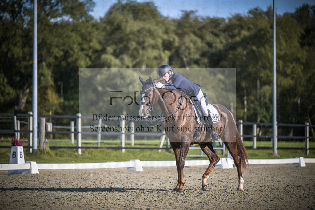 DOS_B801 | Entdecke hochwertige Reitturnierfotos von Foto Oger. Professionell, emotional und authentisch – jetzt Lieblingsmomente im Shop bestellen.Deutschlandweite Turnierfotografie. - Realisiert mit Pictrs.com