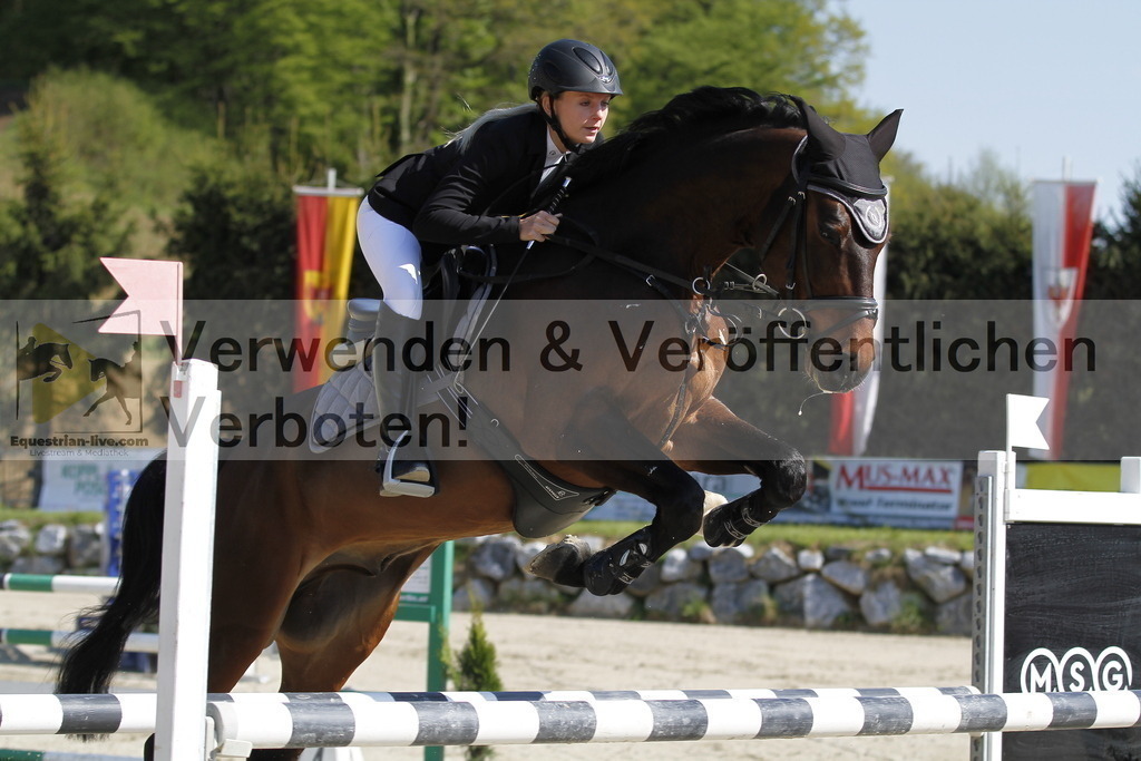 _MG_6706 | equestrian-live-com