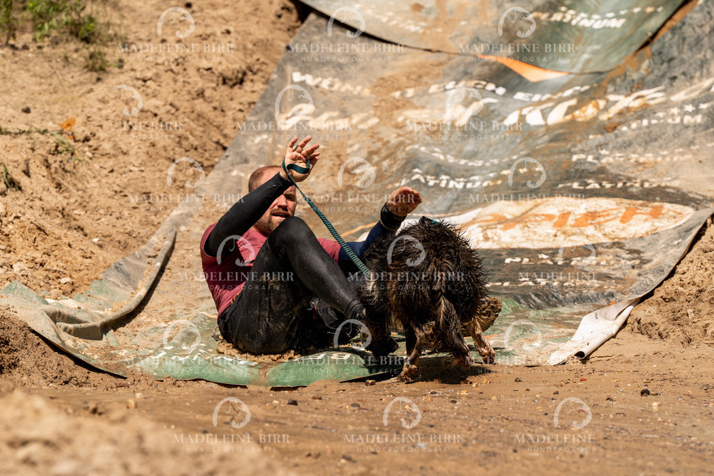 madeleinebirr.fotografie.2026.CC-hoope.samstag.14-20-42.37 | hundefotografie-birr