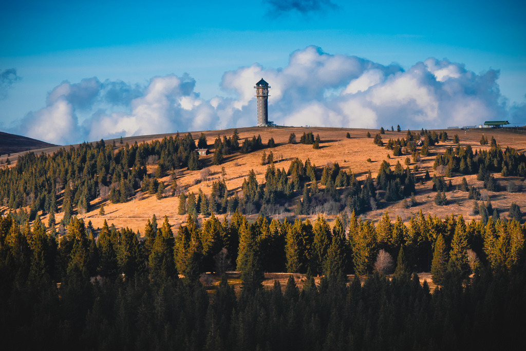 Herbstlicher Hochschwarzwald | Spätherbst im Hochschwarzwald mit Blick auf den Feldberg - Realisiert mit Pictrs.com