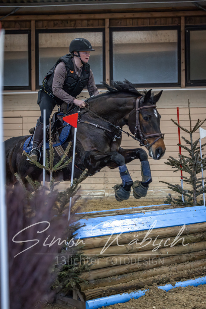 20260222-_3LI1563 | Tierfotografie Pferde, Hunde, Katzen, Haustiere.
Turnierfotografie Reitturniere, Reiten, Springreiten, Dressur in Hanau, dem Main-Kinzig-Kreis und dem Rhein-Main- Gebiet um Frankfurt