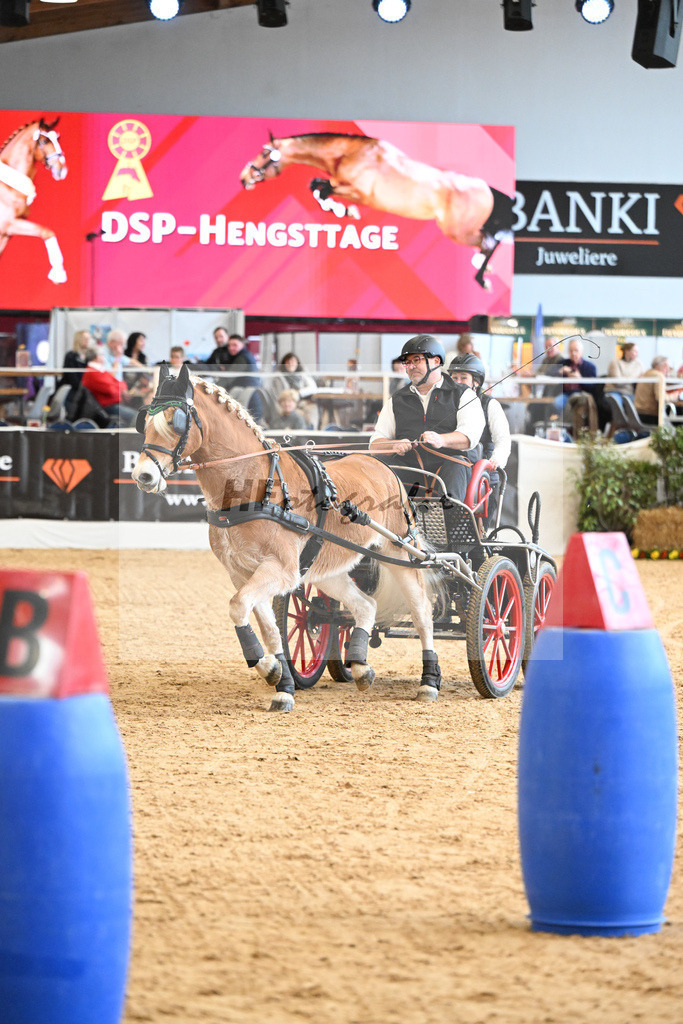 Schauprogramm Haflinger Fahrsport_2251457 | hf-fotografie - Realisiert mit Pictrs.com