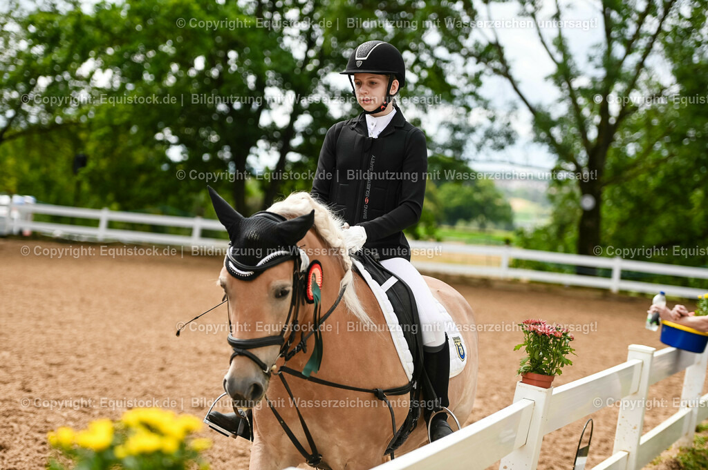 20230716_10-1_Reiter-WB Schritt - Trab - Galopp_0273 | equistock