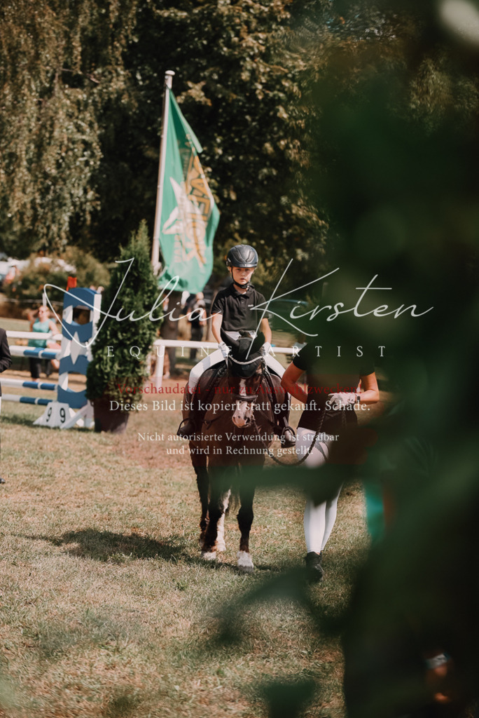 DSC_6142 | Pferde- und Turnierfotografie in Westsachsen. Pferdeportraits, Auftragszeichnungen und intuitive Kunst.