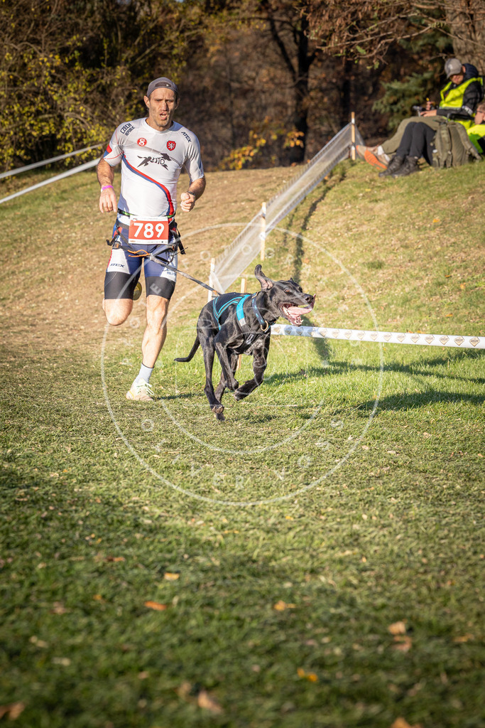 CaniXpix_0L8A0207 | Hundefotografie, Tierfotograf, Pfotenfotografie, Fotoshooting Hund, Hunde Portrait, Hundesport, Hundeportraits, Heideshooting, Hunde, Sportfotograf, Hundefotograf, Turnierhundsport, THS,  - Realisiert mit Pictrs.com