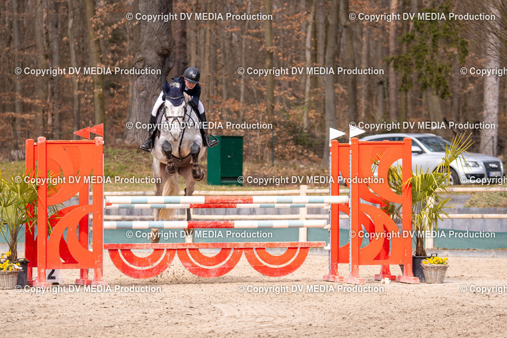 Kranichstein Tag 2-2015 | dv-media-shop - Realisiert mit Pictrs.com