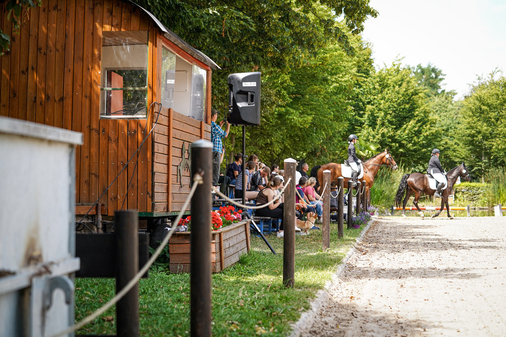 DSC02532 | Pferdegrafie