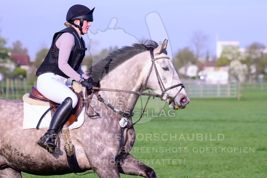18042026-Gernlinden-02-0057 | Fokus Hufschlag Fotografie - Realisiert mit Pictrs.com