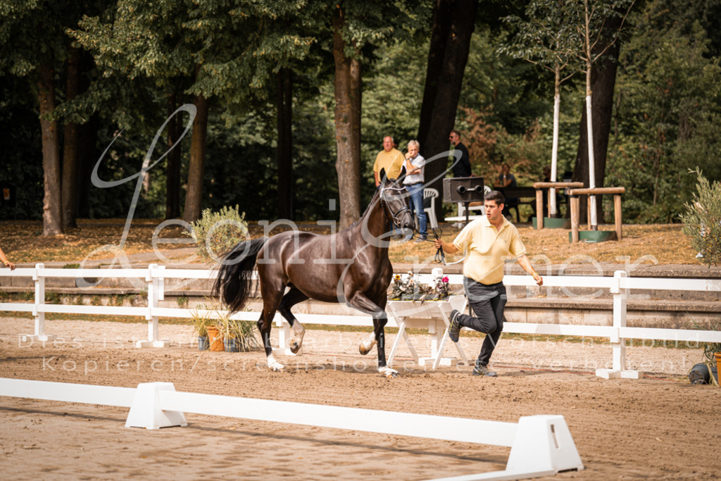 4.Fr00176 | Leoni Ertmer Photography - Realisiert mit Pictrs.com