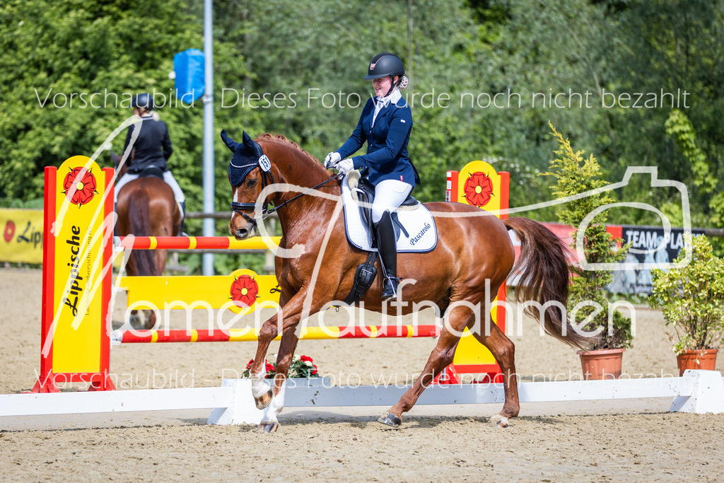 Donop24-L-Dre-006 | MomenTaufnahmen Pferdesportfotos