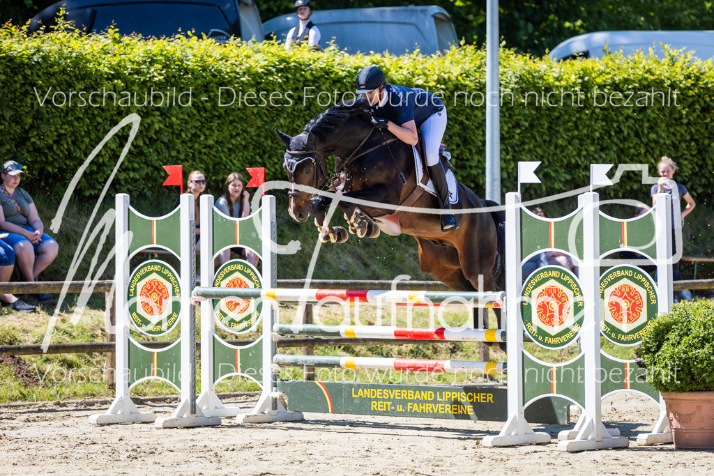 Donop24-Stil-L-056 | MomenTaufnahmen Pferdesportfotos