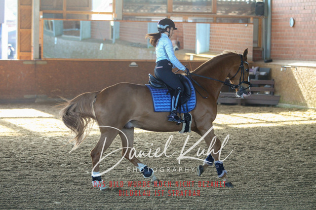 DKP42222 | Turniersportfotografie; Pferdefotografie; Dressurfotografie