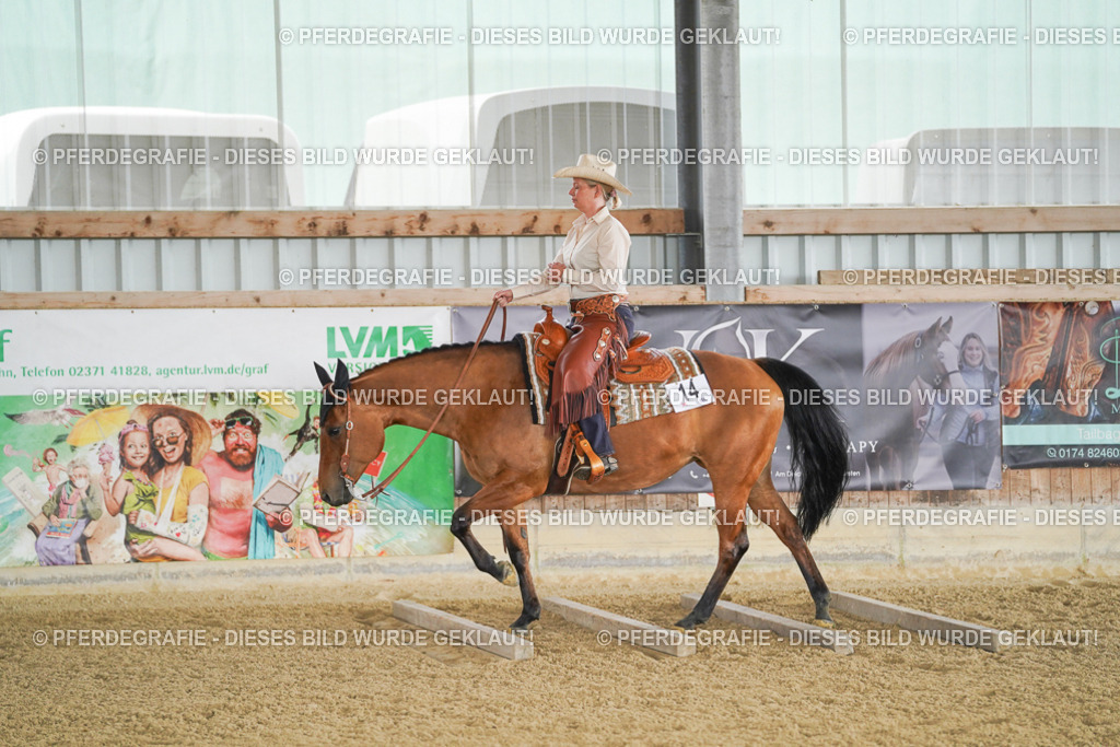 DSC03060 | Pferdegrafie