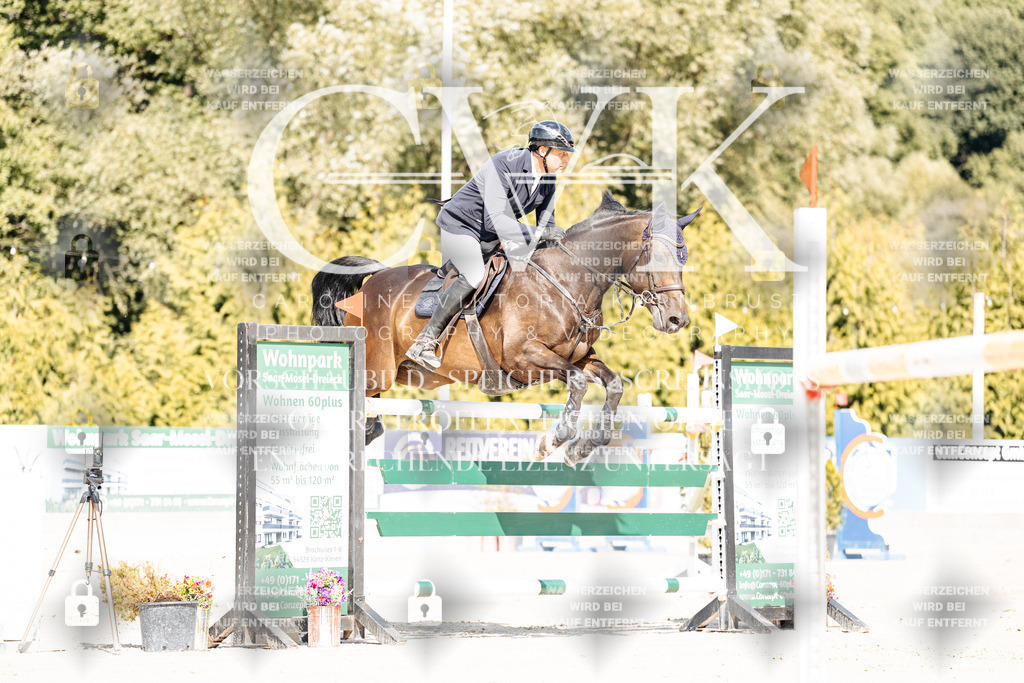 CK909007 | Turnierfotografie Pferdefotografie Trier Rheinland-Pfalz Pferdesport Reitsport Tierfotografie Sportfotografie Pferdevideo Pferdevideografie Equestrianvideography equestrianphotography  - Realisiert mit Pictrs.com