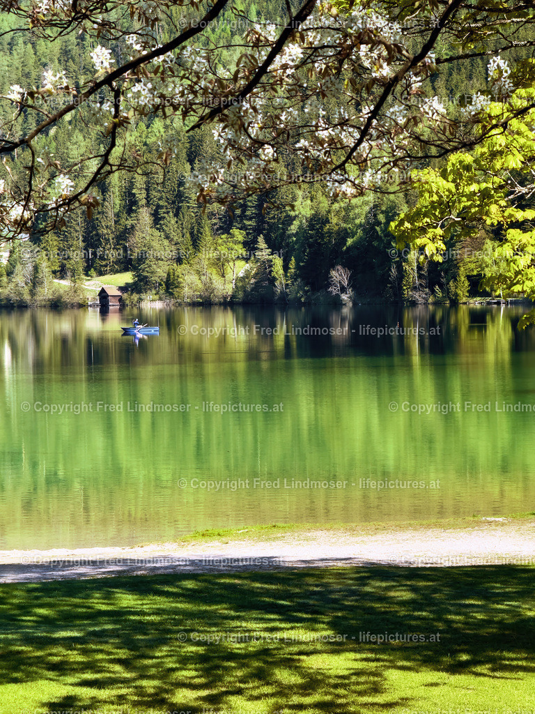 Erlaufsee_IMG_1075-_Fred Lindmoser | Fotos und Fotoprodukte - Realisiert mit Pictrs.com