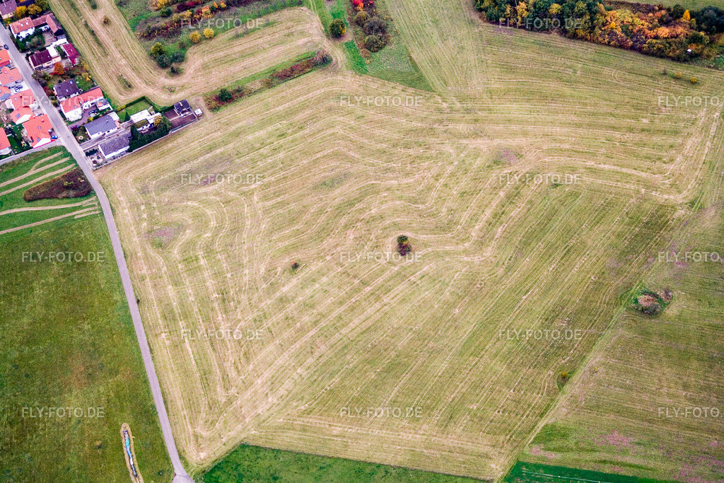 Abgeerntete Wiese auf landwirtschaftlichen Feld- Reihen am Rhein | Luftbild: Abgeerntete Wiese auf landwirtschaftlichen Feld- Reihen am Rhein im Ortsteil Büchelberg in Wörth im Bundesland Rheinland-Pfalz in Deutschland. Foto: IMG_13836.jpg vom 08.10.2008 durch Werner Riehm/FLY-FOTO.de - Realisiert mit Pictrs.com