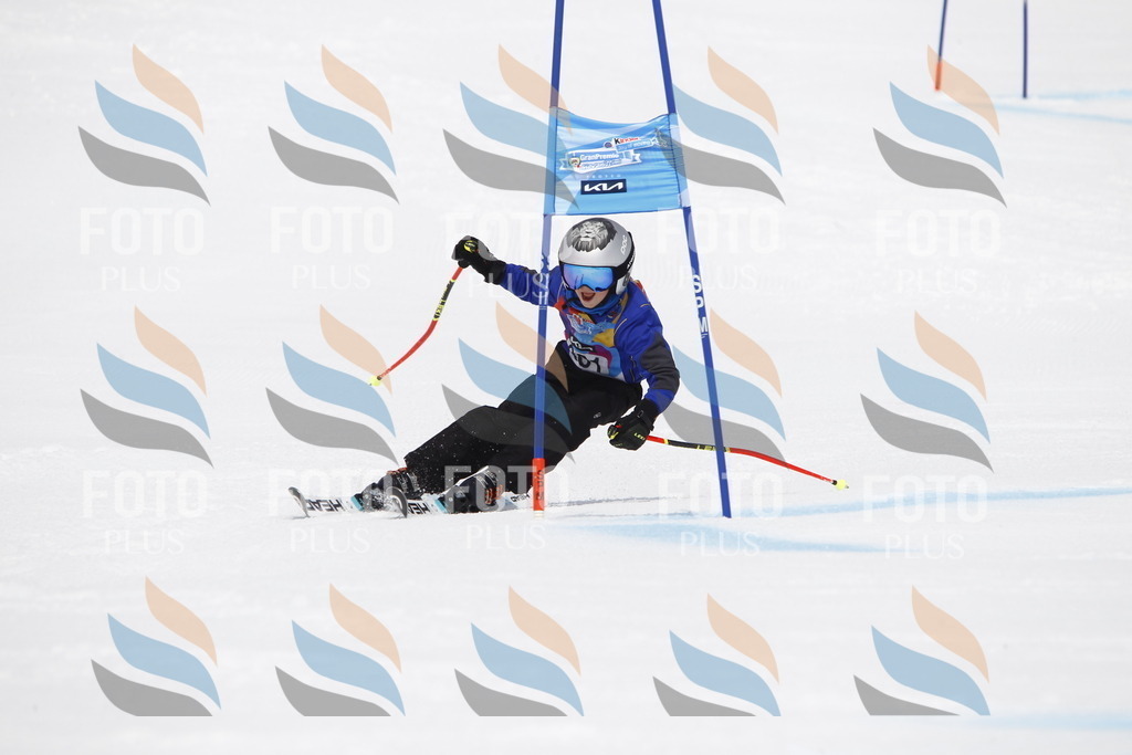 _U3G7493 | holidayphoto