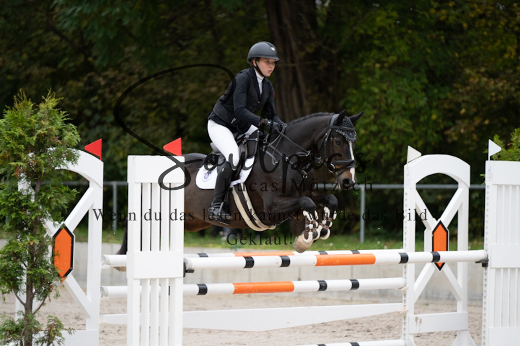 A7V00102 | Pferdefotograf