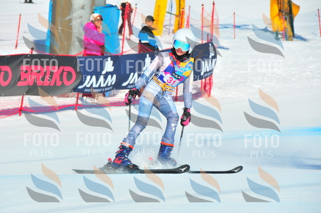 DSC_3934 | holidayphoto