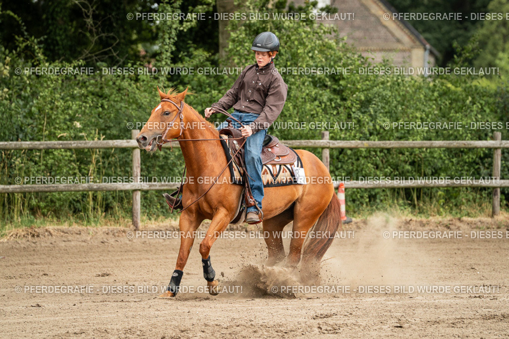 DSC04853 | Pferdegrafie