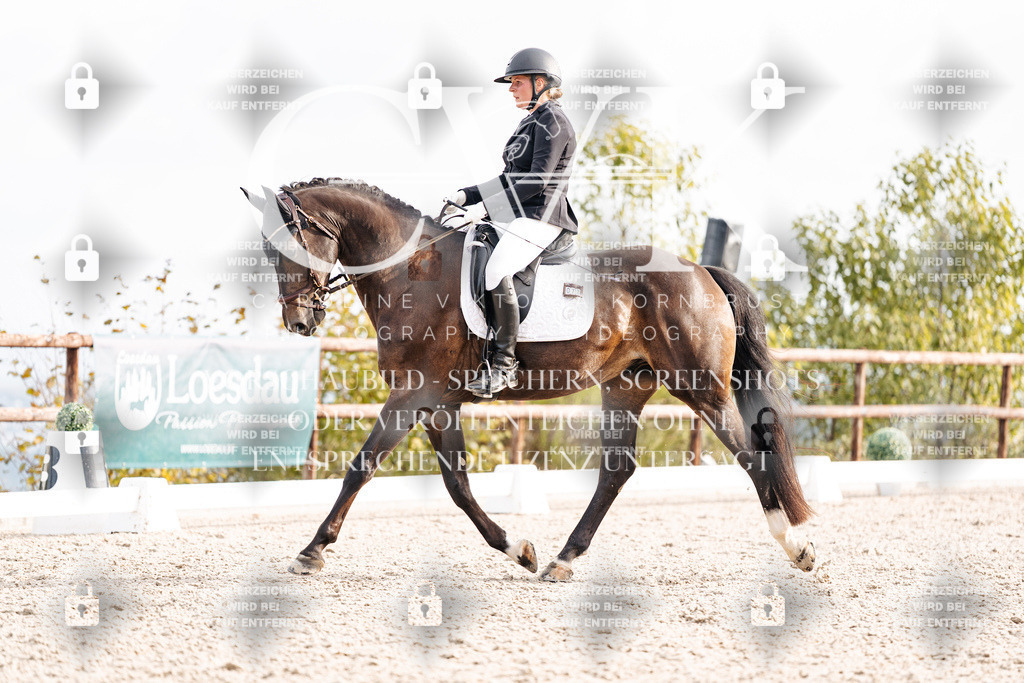 CK901231 | Turnierfotografie Pferdefotografie Trier Rheinland-Pfalz Pferdesport Reitsport Tierfotografie Sportfotografie Pferdevideo Pferdevideografie Equestrianvideography equestrianphotography  - Realisiert mit Pictrs.com