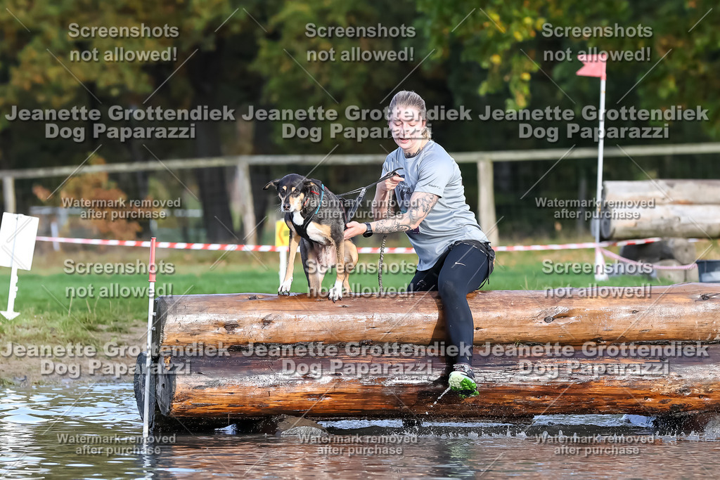 Dog Paparazzi - Strongdog 10-25-7019 | Dog Paparazzi Jeanette Grottendiek Fotografie & Videografie - Realisiert mit Pictrs.com