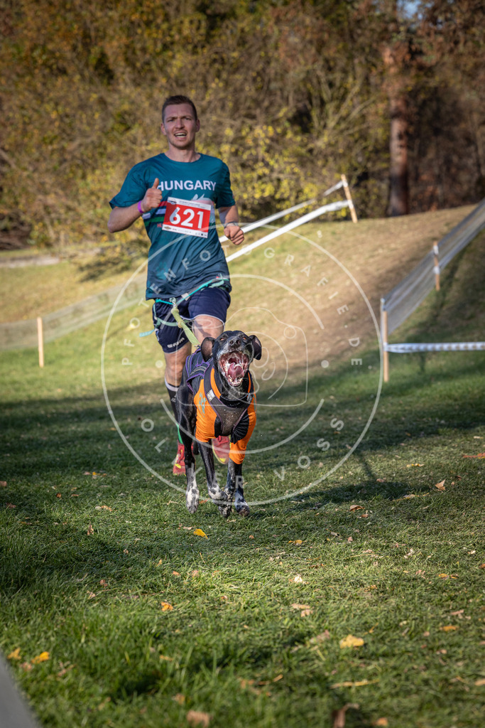 CaniXpix_0L8A8788 | Hundefotografie, Tierfotograf, Pfotenfotografie, Fotoshooting Hund, Hunde Portrait, Hundesport, Hundeportraits, Heideshooting, Hunde, Sportfotograf, Hundefotograf, Turnierhundsport, THS,  - Realisiert mit Pictrs.com