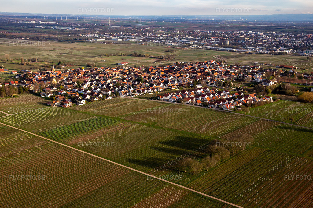 Luftbild: Ortsansicht von Nordwesten im Ortsteil Nußdorf in Landau im Bundesland Rheinland-Pfalz in Deutschland. Foto: IMG_140062.jpg vom 14.03.2024 durch Werner Riehm/FLY-FOTO.de