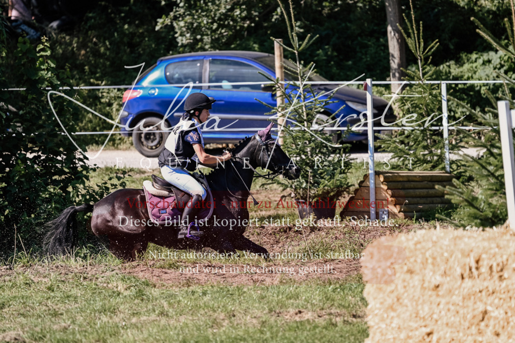 DSC_1938 | Pferde- und Turnierfotografie in Westsachsen. Pferdeportraits, Auftragszeichnungen und intuitive Kunst.