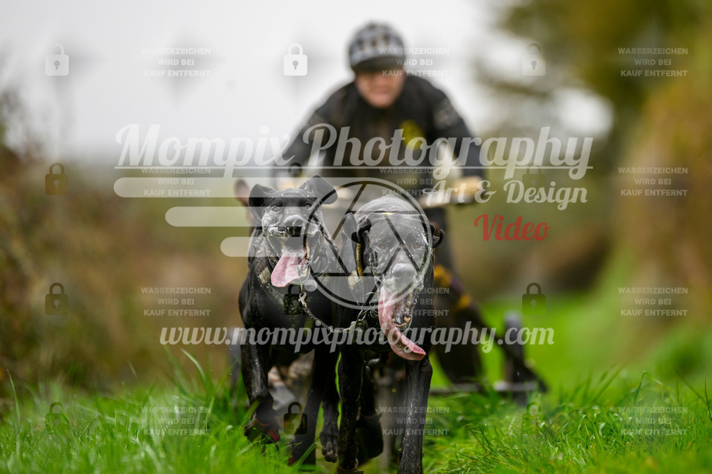 MompixPhotography_20TSB_E8_Kart-19 | PayLife