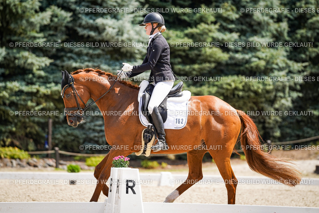 DSC00873 | Pferdegrafie