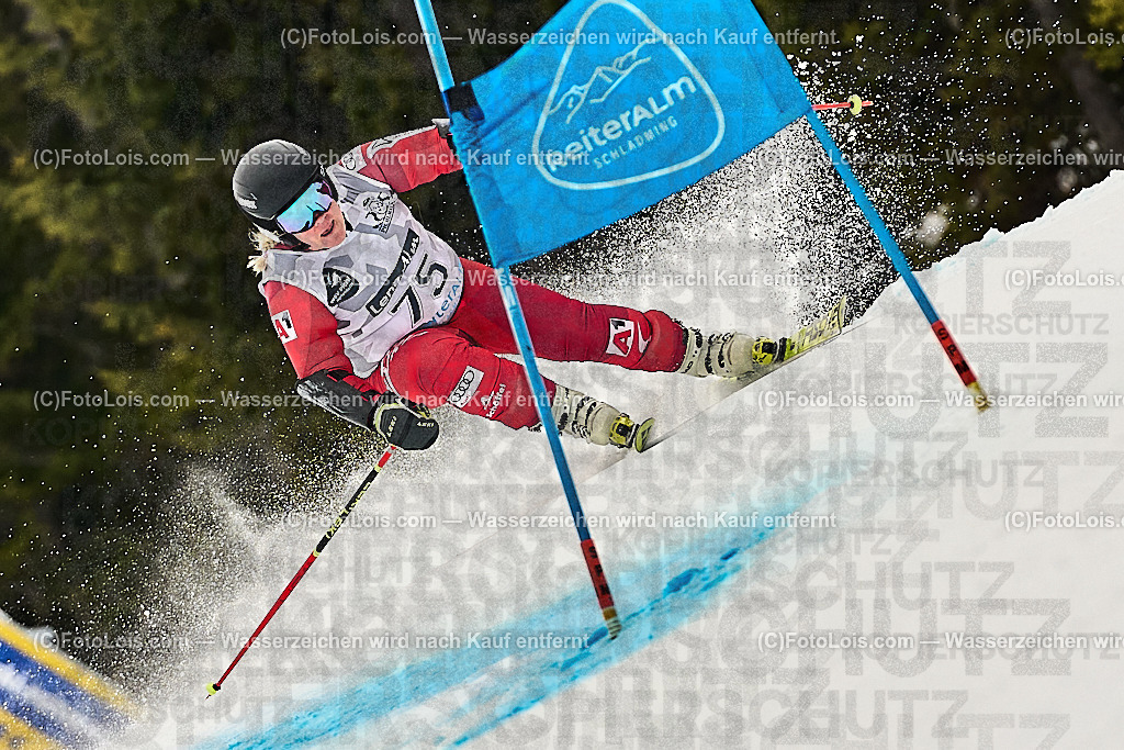 _WWO4317_MASTERS-WM_Reiteralm_CD-SG_ESLETZBICHLER Elfriede | FISWORLD CHAMPIONSHIPSMASTERS ALPINE SKIING, 23. – 28. MÄRZ 2026 - REITERALM | STMK | AUT.   Veranstaltet vom Masters-Referat des Deutschen Skiverbandes (DSV). Durchführende Organisation: WSV Pichl-Reiteralm, unterstütutzt von den Bergbahnen REITERALM bei Schladming und SKI AUSTRIA.                            Disziplinen:  Super-G, GiantSlalom, Slalom.                                                 Kategorien:  A (Herrn 30-59 Jahre), B (Herrn ab 60 Jahre), C (Damen 30-59 Jahre), D (Damen ab 60 Jahre).                Rennstrecken:   Gasselhöhe und Muldenliftpiste auf der Reiteralm.