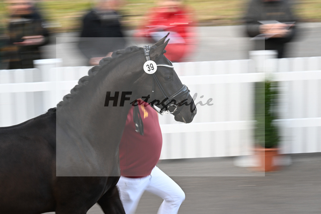 Impressionen Harter Boden_2240062 | hf-fotografie - Realisiert mit Pictrs.com