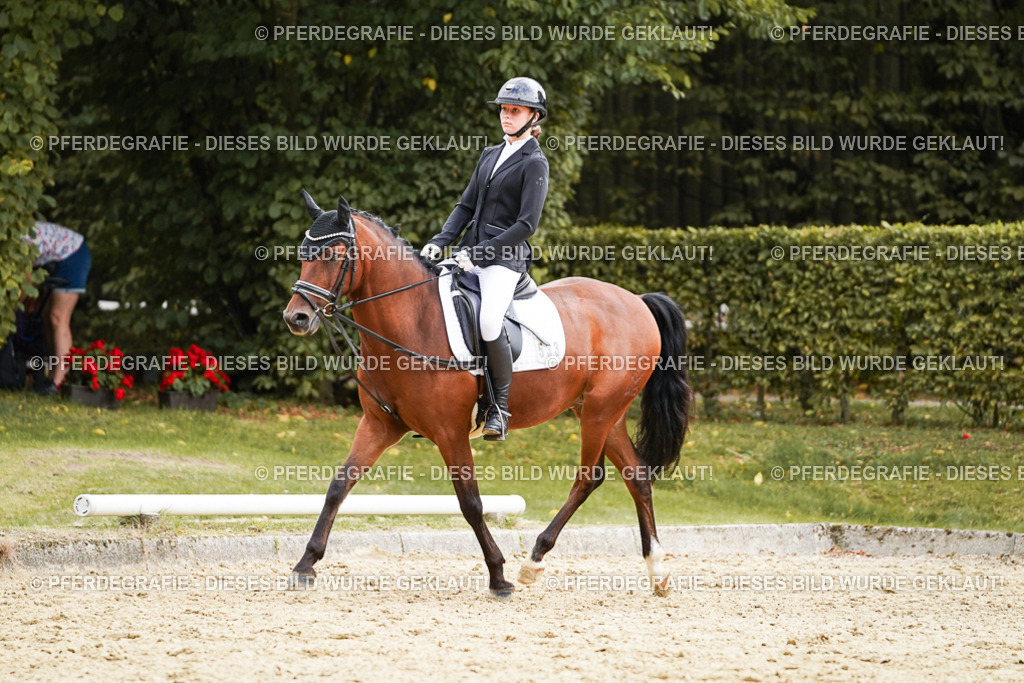 DSC00895 | Pferdegrafie