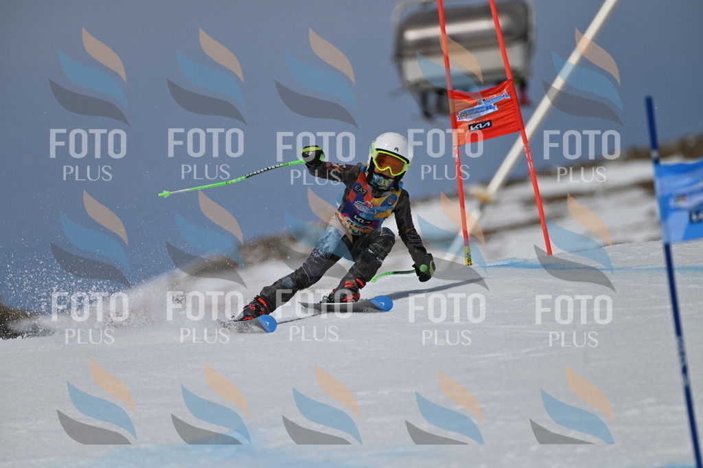 BGV_6949 | holidayphoto