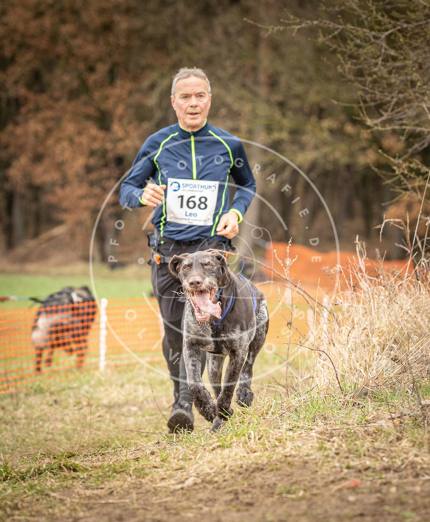 DV3A2202 | Hundefotografie, Tierfotograf, Pfotenfotografie, Fotoshooting Hund, Hunde Portrait, Hundesport, Hundeportraits, Heideshooting, Hunde, Sportfotograf, Hundefotograf, Turnierhundsport, THS,  - Realisiert mit Pictrs.com