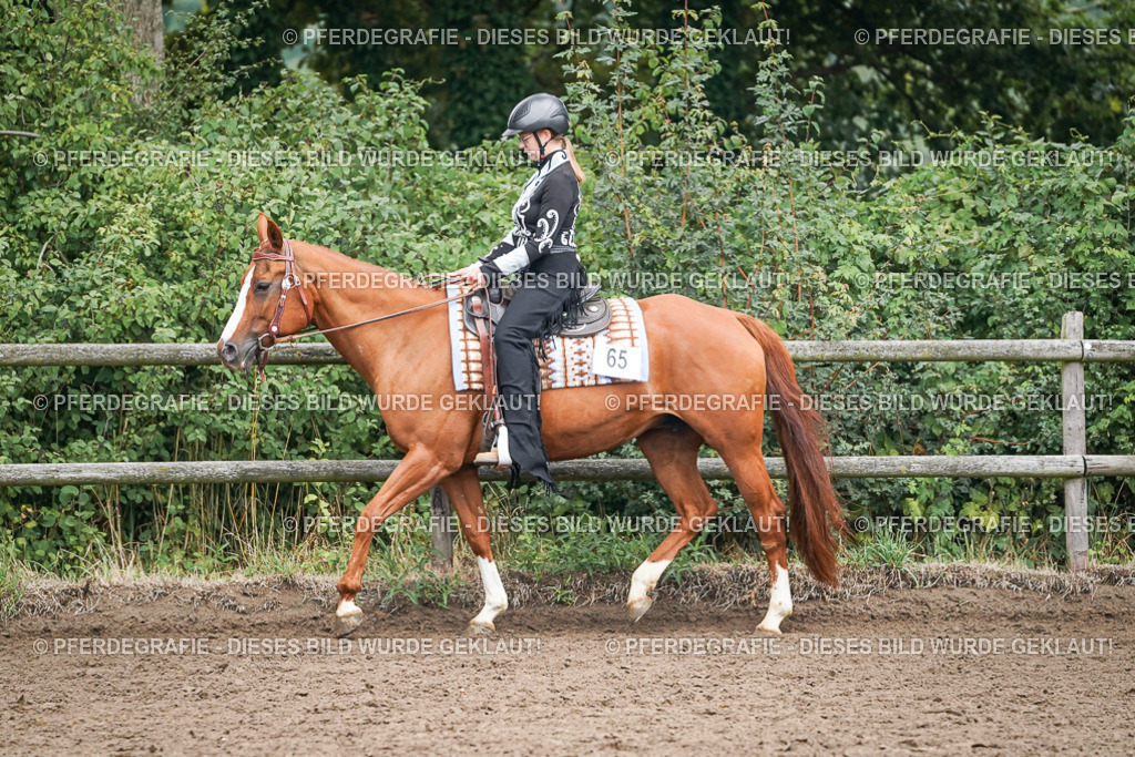 DSC01891 | Pferdegrafie