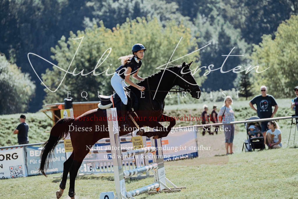 DSC_5928 | Pferde- und Turnierfotografie in Westsachsen. Pferdeportraits, Auftragszeichnungen und intuitive Kunst.