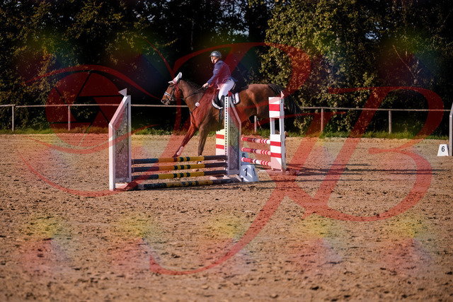 2026_10_03_Siefer-Hof_160647_Z81_88562922 | Professionelle Reitsport-, Turnier- und Eventfotografie von Robert Broda. Galerien mit ausgewählten und bearbeiteten Bildern direkt online ansehen und bestellen.