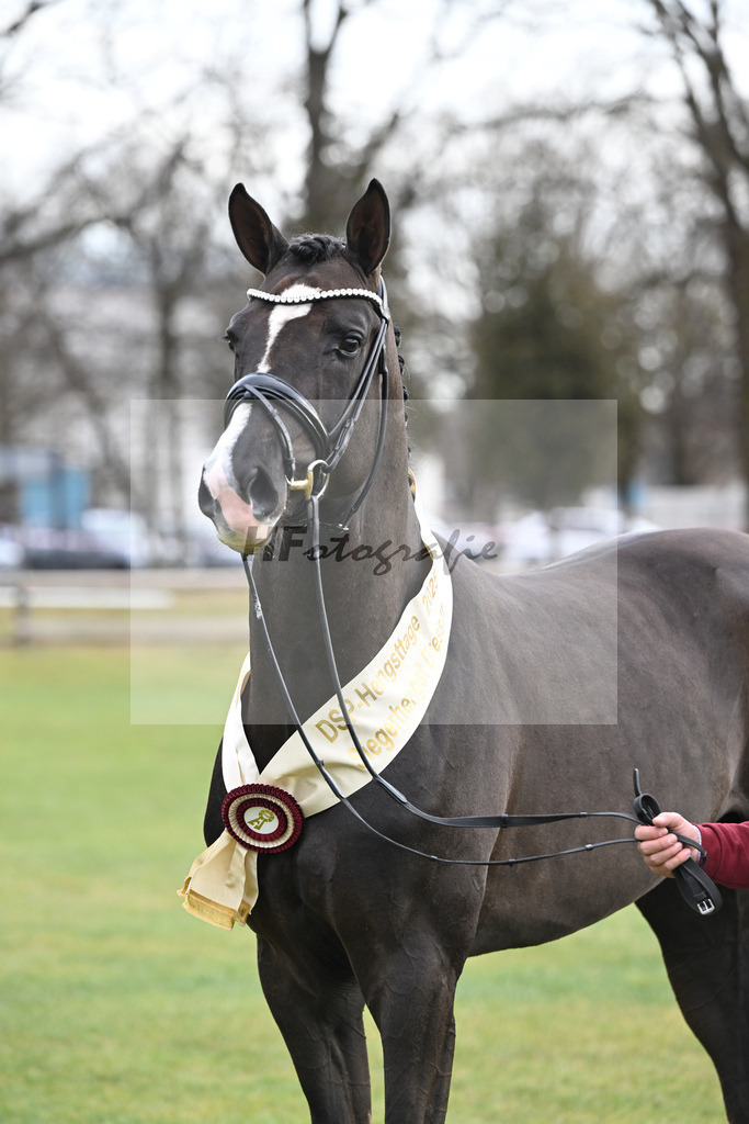 Kat.-Nr. 45 v. Bonds_Schafhof_2252201 | hf-fotografie - Realisiert mit Pictrs.com